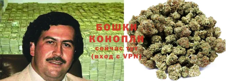 Бошки марихуана THC 21%  наркота  даркнет какой сайт  Волгореченск  MEGA tor 